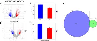 Ferroptosis-related biomarkers for Alzheimer’s disease: Identification by bioinformatic analysis in hippocampus